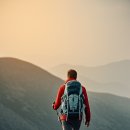 거북이를 사랑한 토끼 이미지