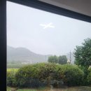 뮤직리조트 | 충주 반려동물 동반 1박 2일 여행기(능암골 가든/중앙탑사적공원/탄금대/게으른 악어/활옥동굴)