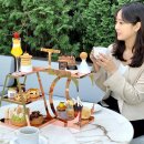 AC호텔 바이메리어트 서울강남 이미지