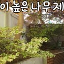 수정로153번길 네이버블로그