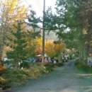 창원 휴양림 오토 캠핑장 이미지