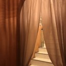 보스피자 | 대구 종로 반월당 피자 맛집｜임실치즈 가득한 동성로 호보스 피자 후기