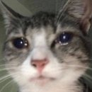 더 준 | 뒤죽박죽 상하이 여행 (3) : 갈테야테야 우전에 갈테야 (투어 후기)