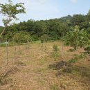 은선농장 이미지