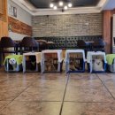 꼬리흔들 유치원 이미지