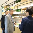 풀무원(방문유통)