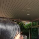 신진초등학교 이미지