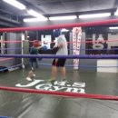 지문실복싱클럽 이미지