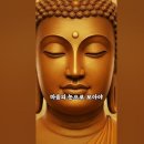 하눌건재