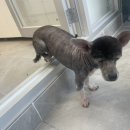 귀빈펫살롱 이미지