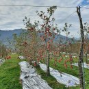 유석농장 이미지