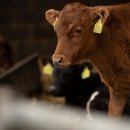 합천축산업협동조합 배합사료공장 이미지