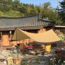 보성애견 이미지