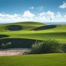 블루베이 이미지