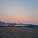 초록숲 하우스 이미지