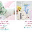 퍼피파우더룸 이미지