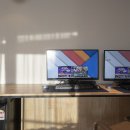 브라운도트거북섬점 이미지