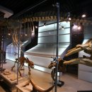 카페 태백로2417 이미지