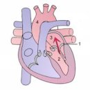 강앤정 동물병원 이미지