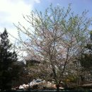 월드컵경기장 사거리 이미지