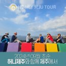허니제주여행사