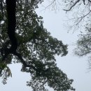 꽃향기민박 이미지