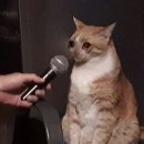 (주)제이오 이미지