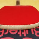 블루펜 Daum카페