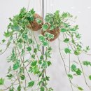 현화유치원 이미지