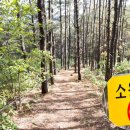 벽절정