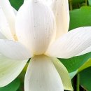 선자농장 이미지