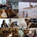 전진농장4 이미지