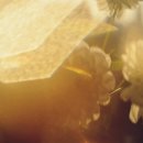 비엔비호텔 이미지