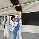 글로벌 경희대 태권도장 이미지