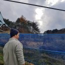 주렴농장 이미지