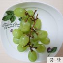 함양액즙 | 작심삼일 다이어트 일기 (3) : 스쿼트 시작, 죽음의 근육통