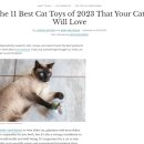 FUN&TOYS(펀앤토이즈) | 2023년 최고의 고양이 장난감과 구매가이드