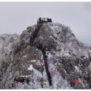 욕지한마음산악회 제59차 가지산(1241m) 11월 정기산행 안내 이미지