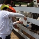 성남종합사회복지관 이미지