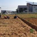 용전농장 이미지