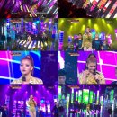 안다미로 TV리포트