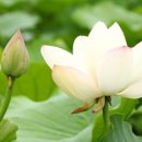 다산1리 이미지