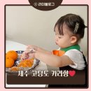 승환농장 | 제주카라향 아빠는농부다 승환이네 농장 카라향 선물세트 후기