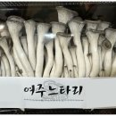 느타리