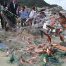 신안상회 이미지