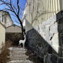 플레이트의원 이미지