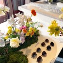 이자벨앤코 이미지