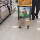 광고마트 - 제주시 월성로 30 | 광고마트