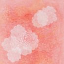 생명+중첩 이미지