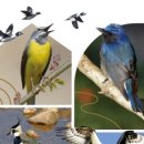 새동네목장 이미지